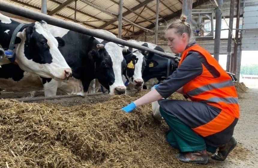 ​В Прикамье расширили льготный лизинг для переработчиков сельхозпродукции  