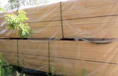 ​За полгода из Пермского края в Узбекистан экспортировано почти 25 тысяч кубометров хвойной древесины