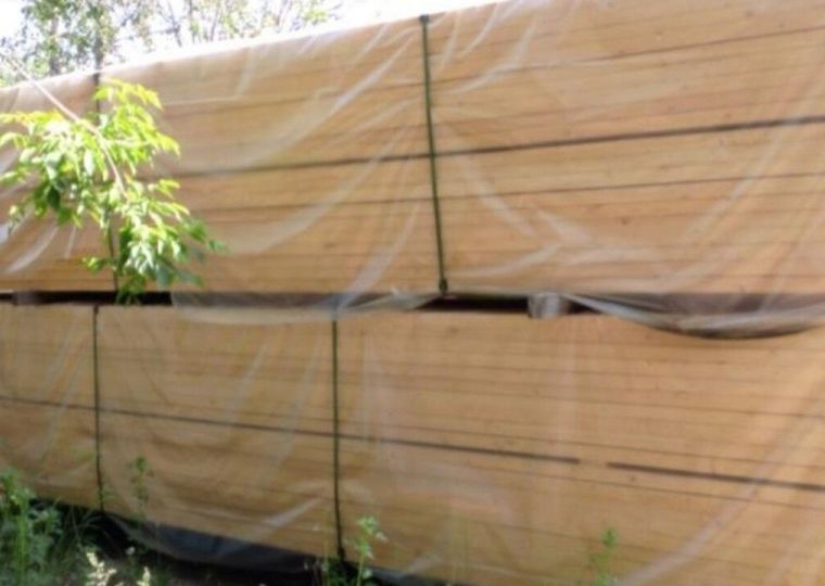 ​За полгода из Пермского края в Узбекистан экспортировано почти 25 тысяч кубометров хвойной древесины