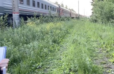 ​В Прикамье проводится проверка после гибели ребенка под колесами электропоезда