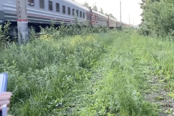 ​В Прикамье проводится проверка после гибели ребенка под колесами электропоезда