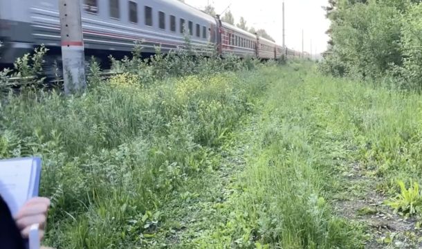​В Прикамье проводится проверка после гибели ребенка под колесами электропоезда