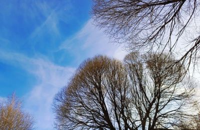 Рекордно теплая весна: как Прикамье пережило волну тепла в марте–начале апреля 2026 года