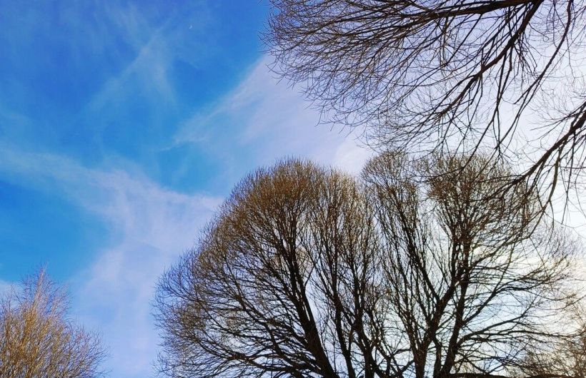 Рекордно теплая весна: как Прикамье пережило волну тепла в марте–начале апреля 2026 года