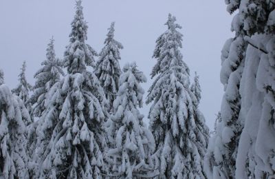 ​В Прикамье с 16 по 20 февраля погода будет динамичной, с чередованием циклонов и антициклонов