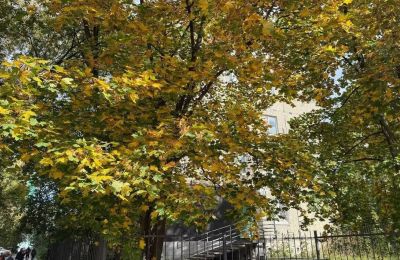 В Прикамье ожидается потепление до +18 °C