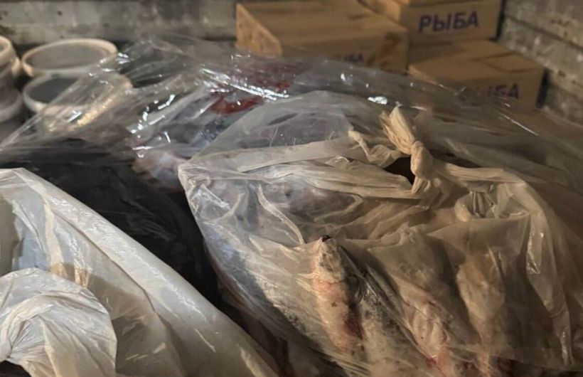 ​В Перми рыбопереработчик оштрафован за антисанитарию, просроченную продукцию и нарушения в учете сырья