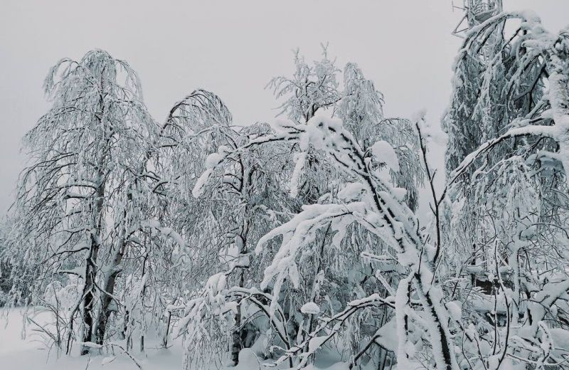 ​Выходные в Прикамье принесут мощные снегопады и кратковременное потепление