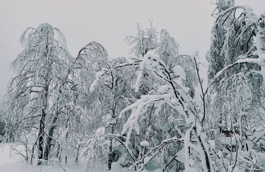​Выходные в Прикамье принесут мощные снегопады и кратковременное потепление