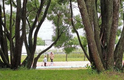 После дождливого начала недели в Пермском крае ожидается потепление