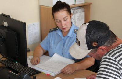 Баллада о новеллах. Какие изменения в законах коснутся всех и каждого