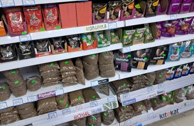 В Кудымкаре предпринимателя оштрафовали за продажу ветеринарных препаратов без лицензии