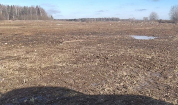 ​В Бардымском округе ликвидировали несанкционированную свалку на сельхозземлях