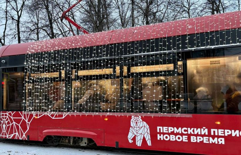 С 10 января несколько трамваев в Перми будут ходить через один из-за кронирования деревьев