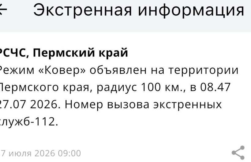 В аэропорту «Пермь» (Большое Савино) временно приостановили прием и отправку рейсов и ввели режим «Ковер»