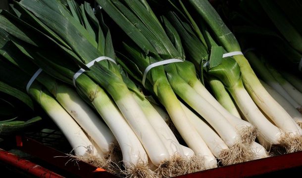 Овощ, который можно есть почти без слез: знакомьтесь — лук-порей