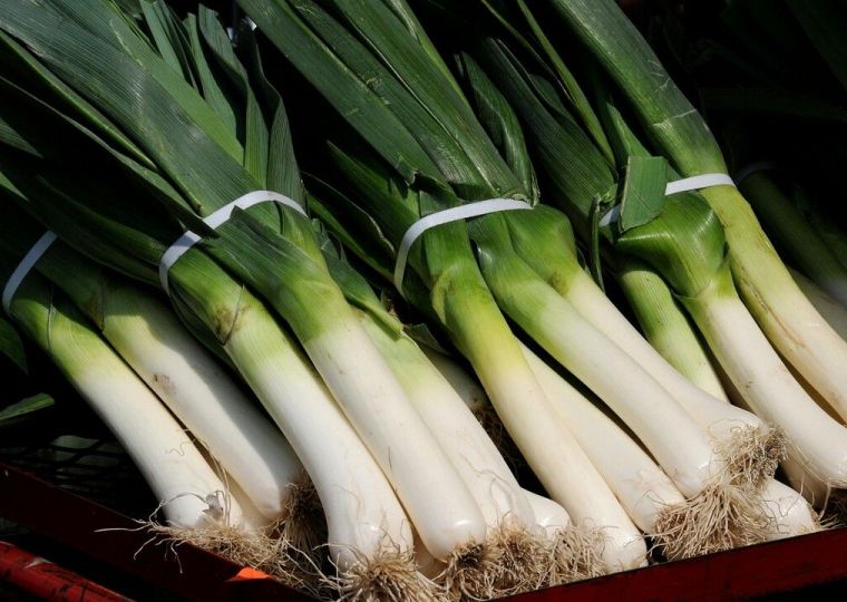 Овощ, который можно есть почти без слез: знакомьтесь — лук-порей