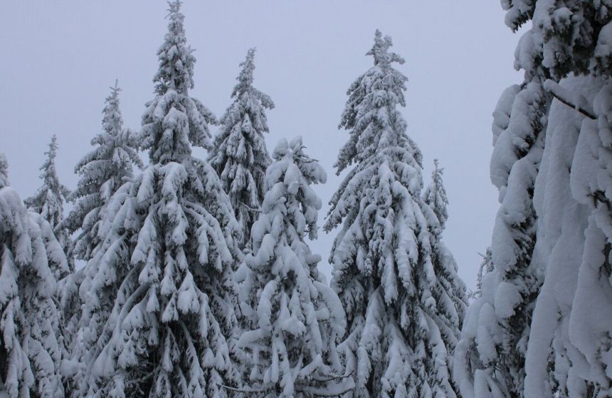 ​Умеренное похолодание в Прикамье к выходным может смениться экстремальными морозами