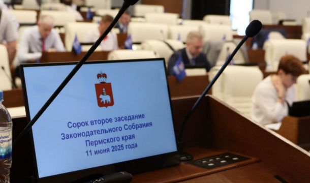 В Пермском крае принят закон о специальном обучении детей-инвалидов