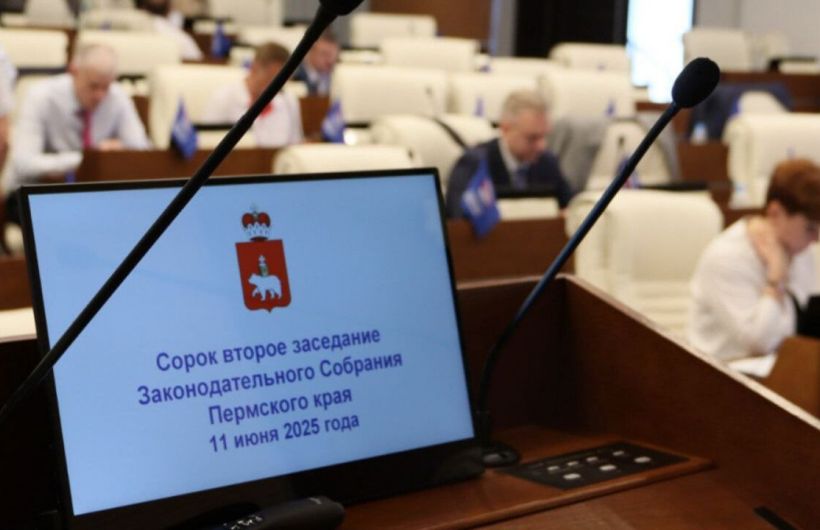 В Пермском крае принят закон о специальном обучении детей-инвалидов 
