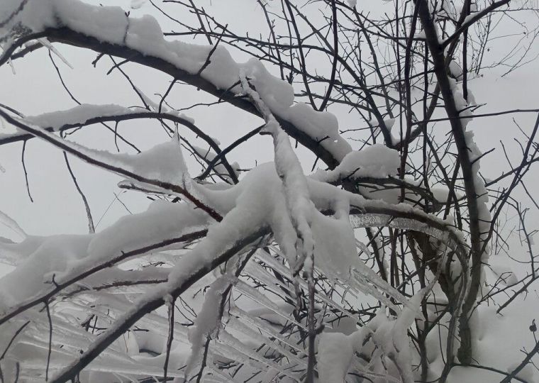 В Пермском крае 8 декабря прогнозируются опасные метеоусловия