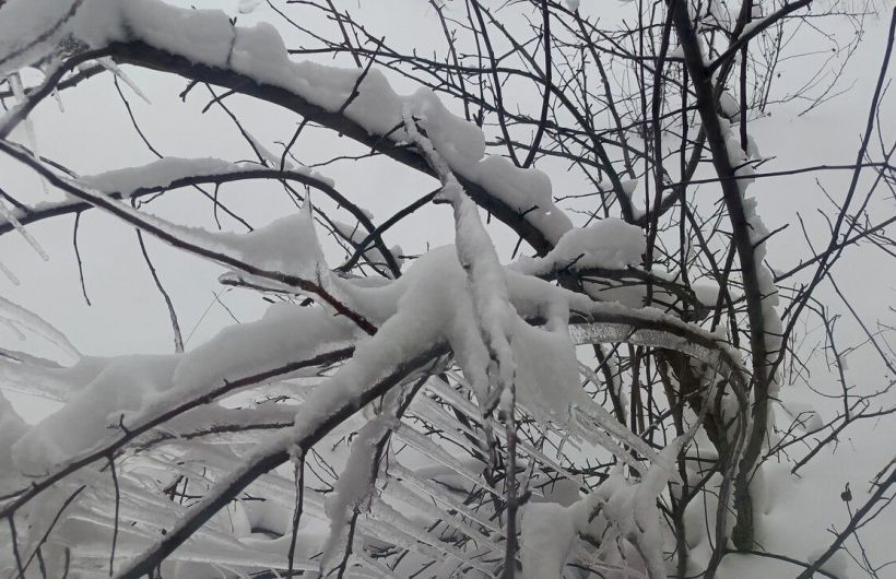 В Пермском крае 8 декабря прогнозируются опасные метеоусловия