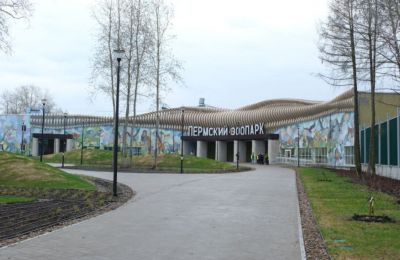 ​В новом пермском зоопарке в эксплуатацию ввели еще восемь объектов