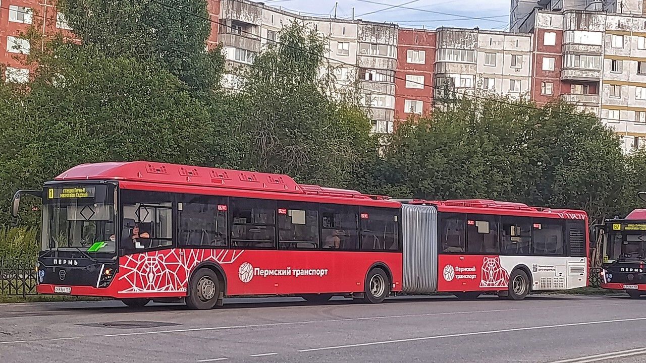 В Перми 15 августа изменят маршруты автобусов 