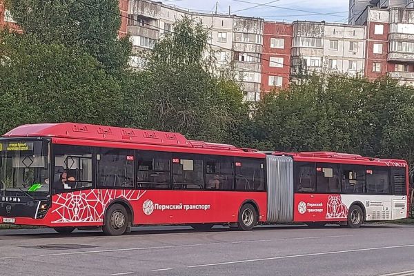 В Перми в Красные Казармы могут запустить автобус после строительства новой остановки