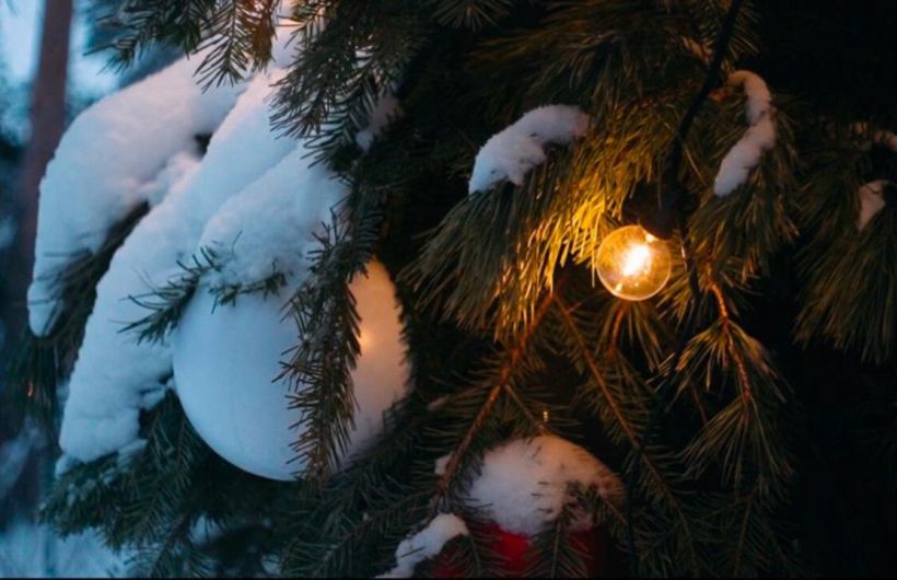 ​Дмитрий Махонин поздравил жителей Прикамья с наступающим Новым годом  