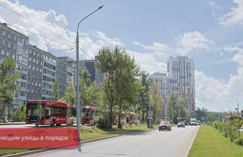 На газонах Перми скашивают траву и сорняки