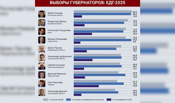 Прикамцы доверяют «цифре»: дистанционное голосование набирает обороты