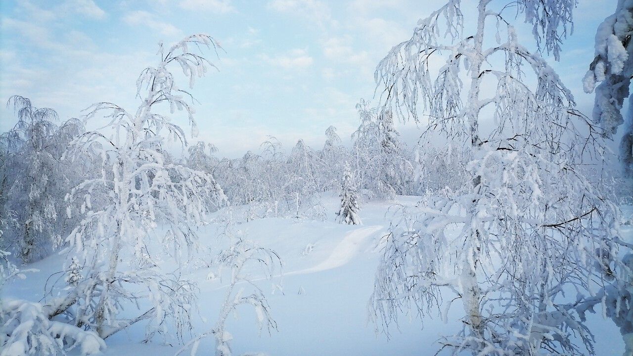 В Прикамье ожидается самая холодная погода с 2010 года