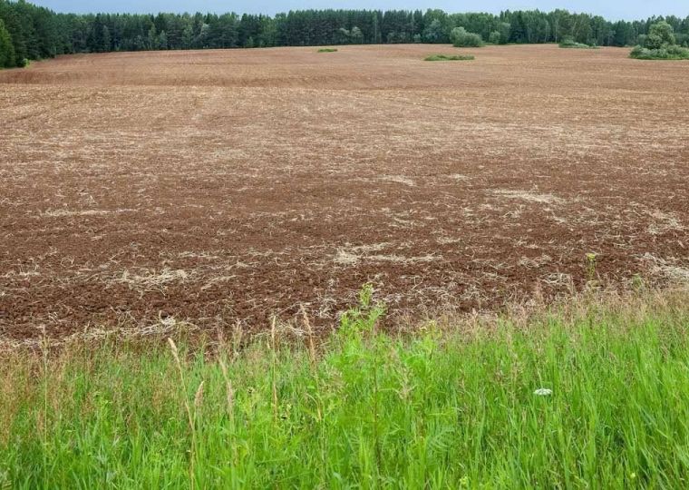 ​В Прикамье могут расширить меры поддержки льготных категорий граждан по получению земли
