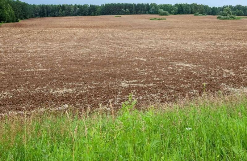 ​В Прикамье упростили получение бесплатной земли для участников СВО, медиков и педагогов