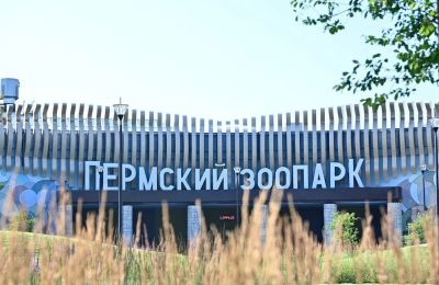 В Пермском зоопарке ввели бесплатный вход для многодетных семей и ветеранов труда