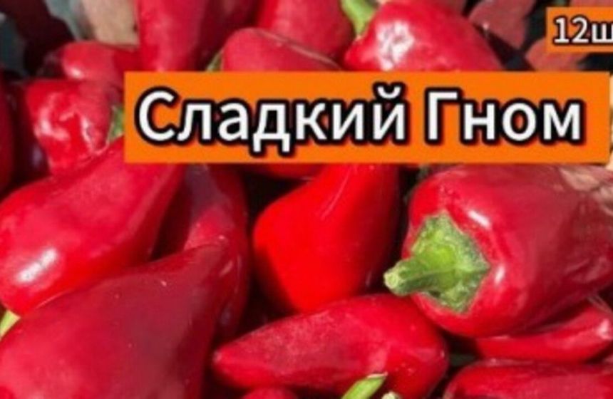 ​Пермский предприниматель на маркетплейсе продавал незарегистрированные сорта томатов и перца