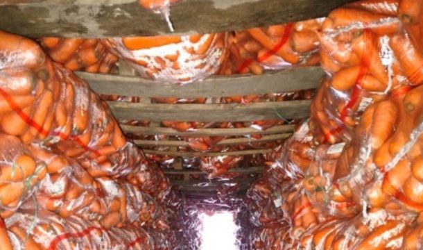 ​В 2026 году в Прикамье из Киргизии завезли 143 тонны моркови