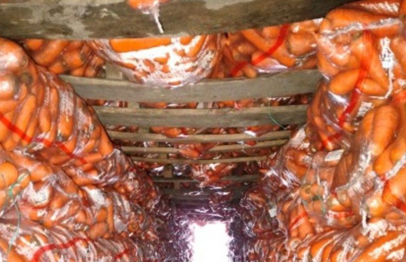 ​В 2026 году в Прикамье из Киргизии завезли 143 тонны моркови