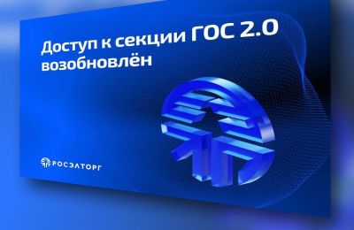 Росэлторг заявил о частичном возобновлении работы, но проблемы остались