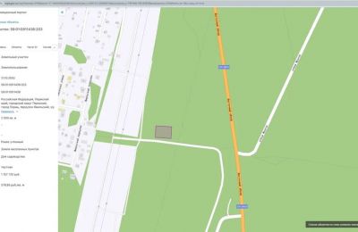 Разберемся: Как же вышло, что в Перми оказались выставлены участки в городских лесах