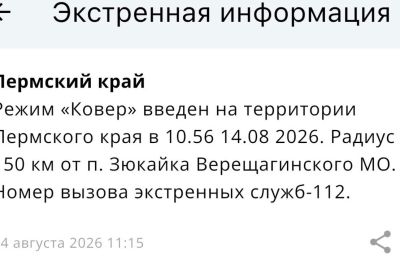 В аэропорту Большое Савино временно приостановили работу и ввели режим «Ковер»