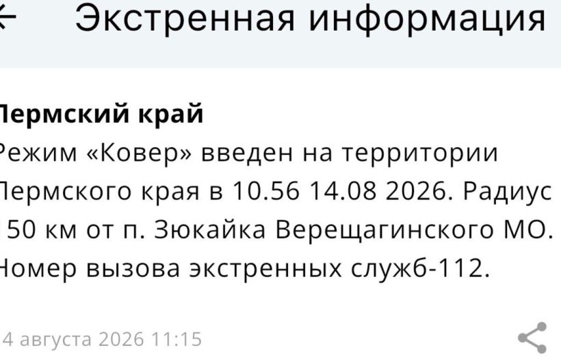 В аэропорту Большое Савино временно приостановили работу и ввели режим «Ковер»