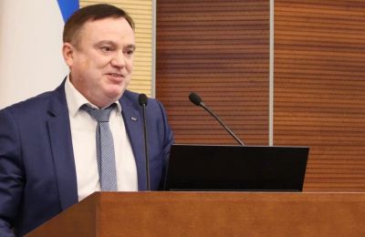 Что предлагают депутаты Заксобрания фракции ЛДПР, чтобы защитить прикамцев от укусов собак