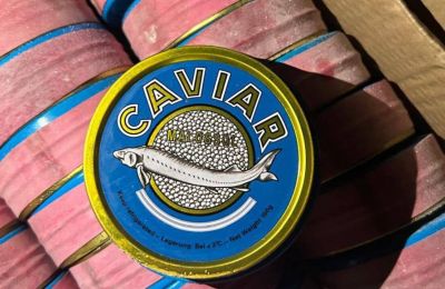 ​За незаконное хранение красной икры оштрафовали жителя Перми