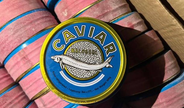 ​За незаконное хранение икры оштрафовали жителя Перми