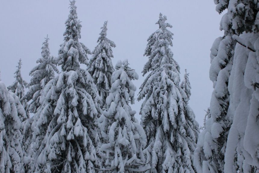 ​Сугробы до 20 сантиметров ожидаются в Перми