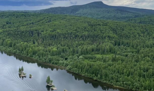 ​В некоторых реках Прикамья по итогам 2025 года зафиксировано улучшение качества воды