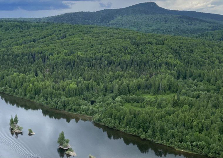 ​В некоторых реках Прикамья по итогам 2025 года зафиксировано улучшение качества воды