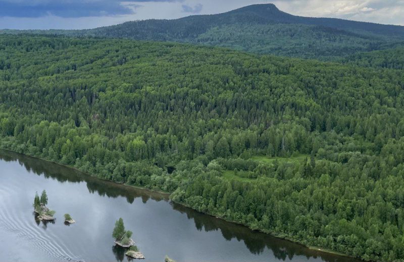 ​В некоторых реках Прикамья по итогам 2025 года зафиксировано улучшение качества воды